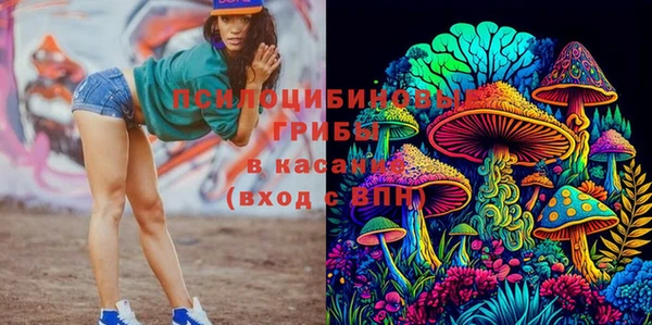 прущие крисы Алексин